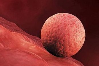 高龄做试管该如何提高受孕率呢？一定要注意这三点！