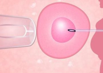 3pn胚胎能不能试管移植？