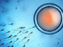 宁波第三代试管大概要多少费用？从哪些方面判断！