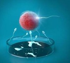 福州医院三代试管成功率高吗？如何提高试管成功率？