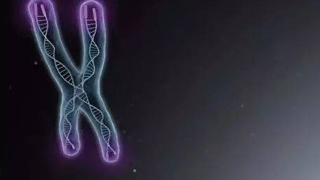 2026年成都的三代试管婴儿技术好不好？