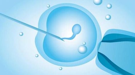 如何恢复男性多种无精症导致的生精功能障碍？