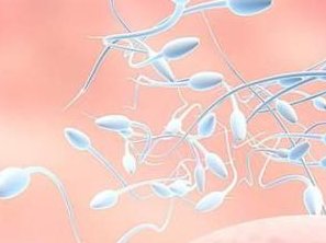 文山哪做第三代试管婴儿？